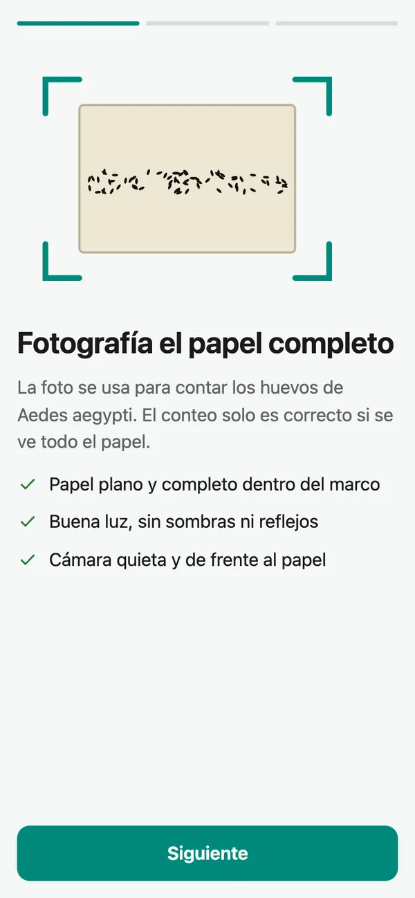 Primera vez