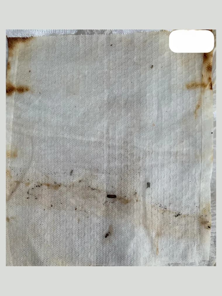Papel completo, desde arriba, ocupando casi toda la foto