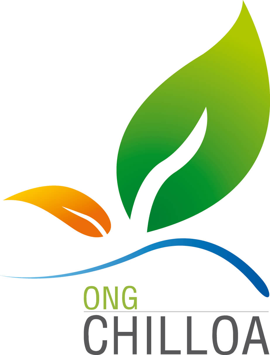 Fundación Chilloa